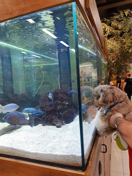 Foto 2 Cobasi Campinas Iguatemi