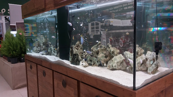 Foto 4 Cobasi Extra Abolição