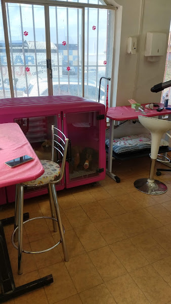 Foto 1 Pet House - Veterinária e Estética Animal