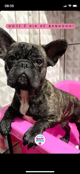 Foto 2 Special Pet Shop