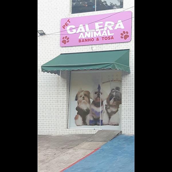 Foto 1 Pet Galera Animal