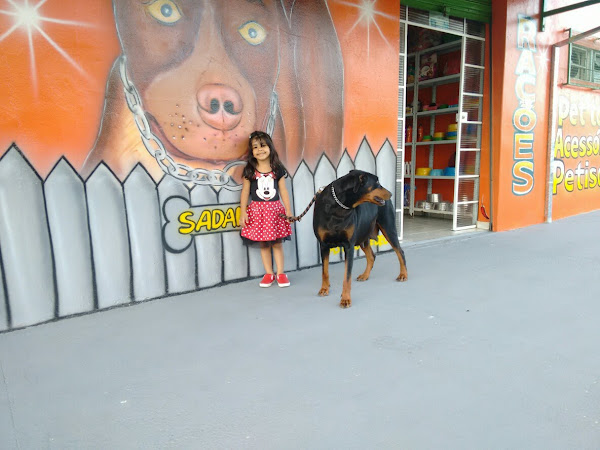 Foto 4 Cão Capricho Pet Shop - Dra. Fernanda