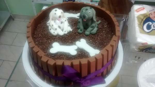 Foto 5 Cão Capricho Pet Shop - Dra. Fernanda