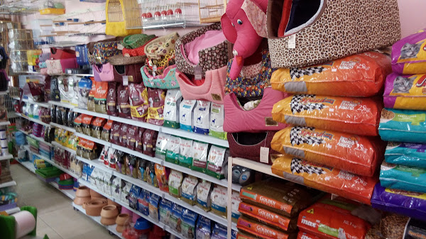 Banho e Tosa Chictosa