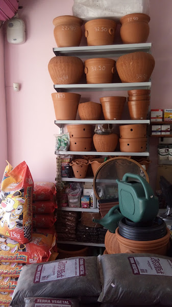 Foto 1 Banho e Tosa Chictosa