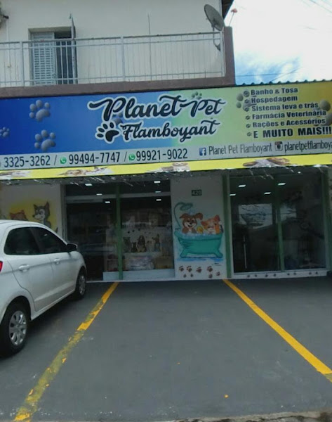 Planet Pet Flamboyant