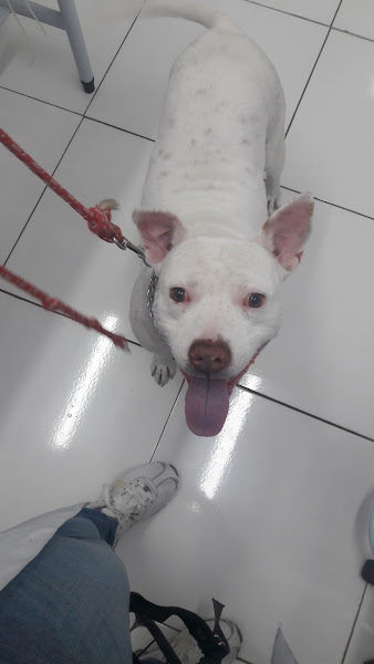 Foto 4 Nutrypet Foto 4 Nutrypet