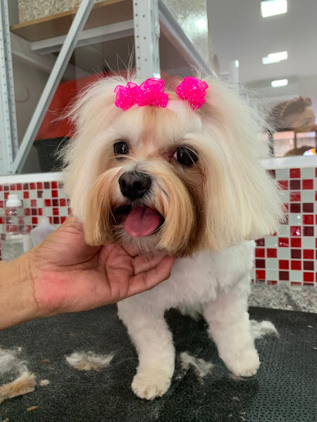 Foto 2 Animal Center - Swiss Park