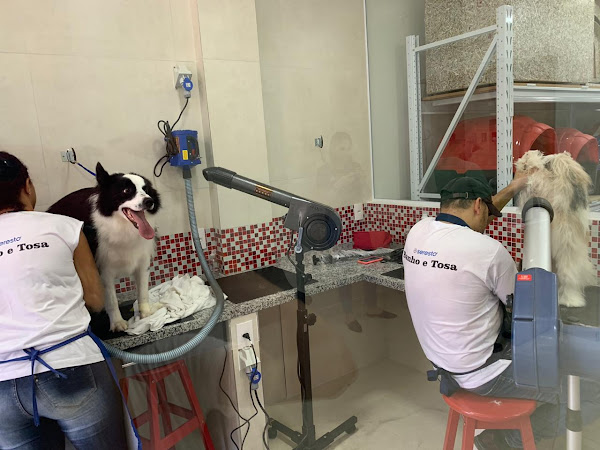 Foto 3 Animal Center - Swiss Park