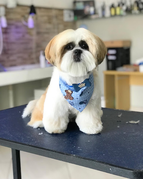 Foto 3 Pet Shop Caopanheiro