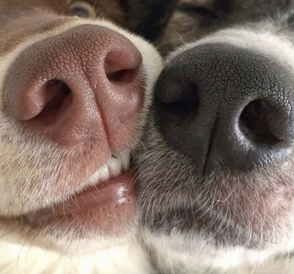 Foto 2 Casa Natureza