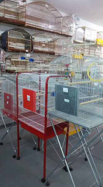 Foto 6 Bicho & Cia Foto 6 Bicho & Cia