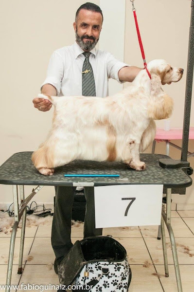 Foto 1 Atelier Do Grooming (Banho & tosa)..