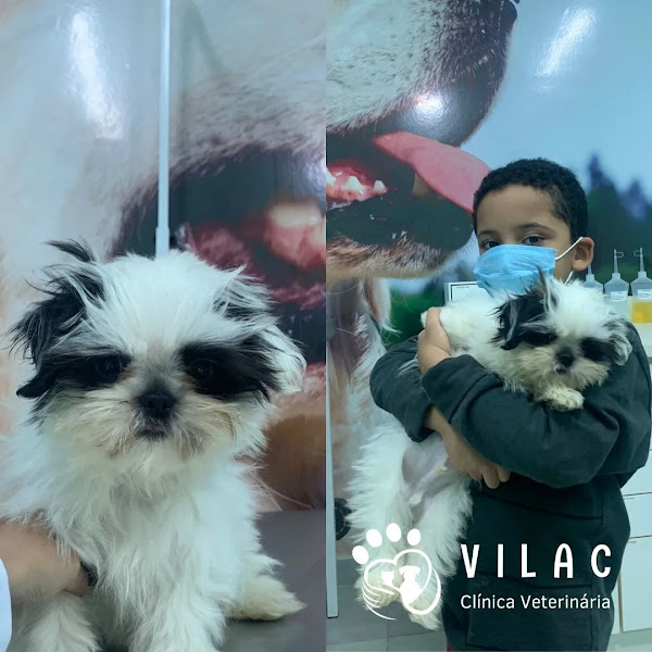 Foto 2 Clínica Veterinária Vilac 24 horas - Unidade Campinas.