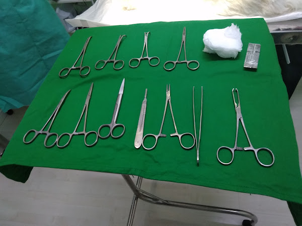 Foto 3 Clínica Veterinária Vilac 24 horas - Unidade Campinas.