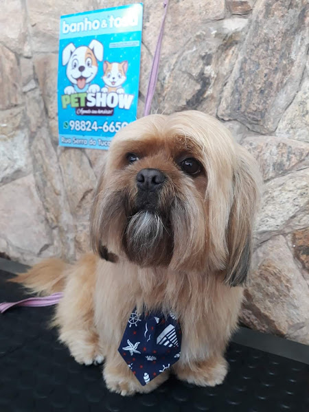 Foto 3 Petshow Banho & Tosa Foto 3 Petshow Banho & Tosa