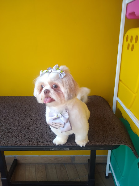 Espaço Pet Campinas