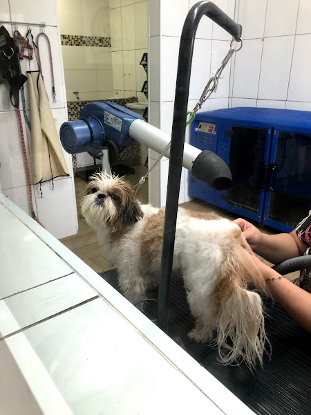 Foto 1 Espaço Pet Campinas