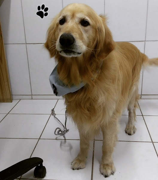 Foto 2 Doggy & Kitty