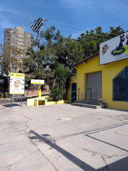 Foto 3 Doggy & Kitty