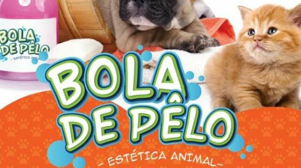 Bola de Pêlo Estética Animal