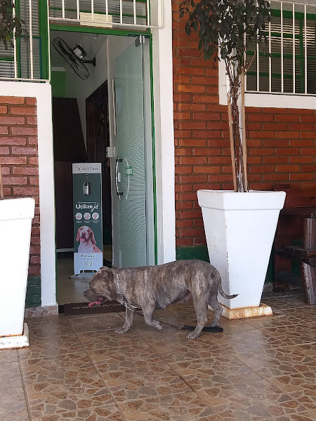 Foto 2 Clínica Veterinária Nova Europa