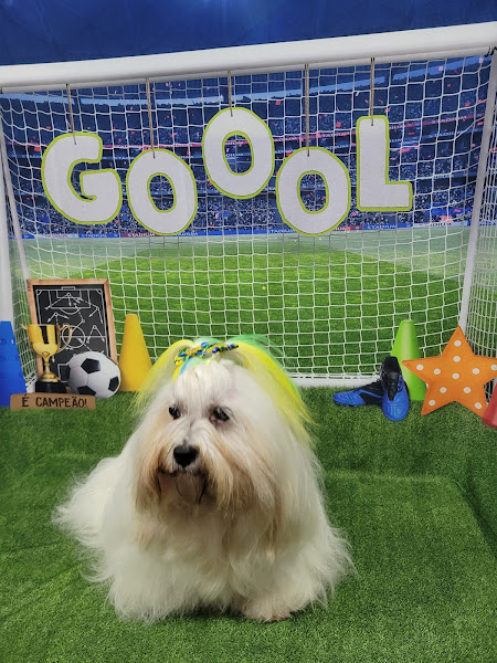 Foto 2 Dom Vet Clinica Veterinária