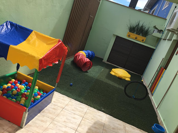 Foto 5 Pet São Francisco Campinas