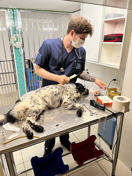 Foto 1 Hospital Veterinário Verlengia