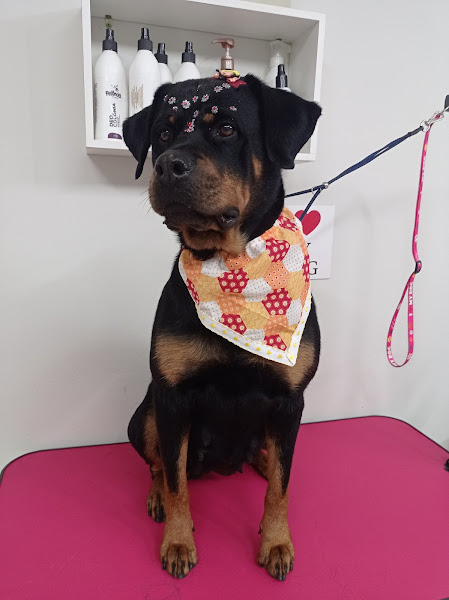 Oliver Pet Centro de Estética Animal