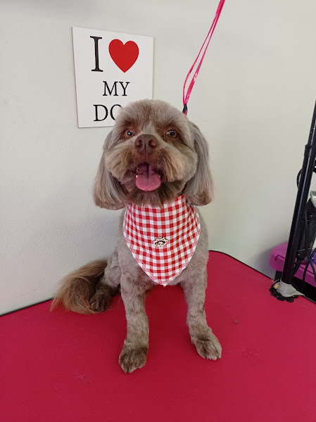 Foto 1 Oliver Pet Centro de Estética Animal