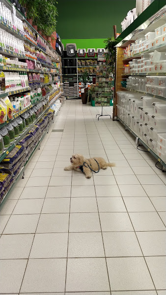 Foto 5 Galleria Shopping