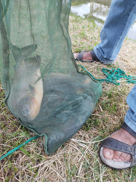 Foto 3 Vila Pompeia Mall