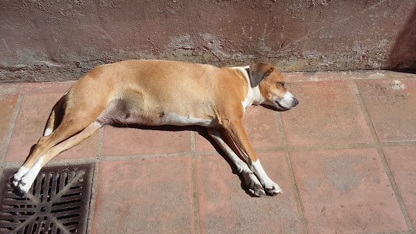 Autocar Borracharia Elétrica E Mecânica