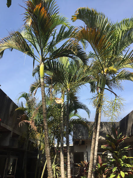 Foto 2 Complexo Hospitalar Prefeito Edivaldo Orsi