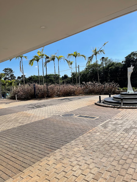 Foto 1 Instituto de Otorrinolaringologia e cirurgia de cabeça e pescoço-Unicamp