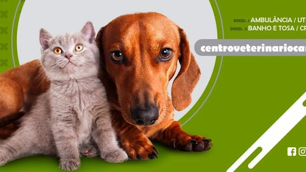 Foto 3 Hospital Veterinário Cambuí - 24 Horas