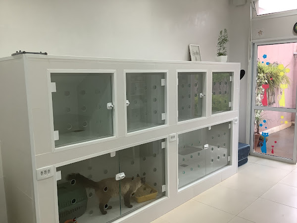 Foto 2 H.A. Pet- Programa Preventivo Veterinário- Hospital de Animais