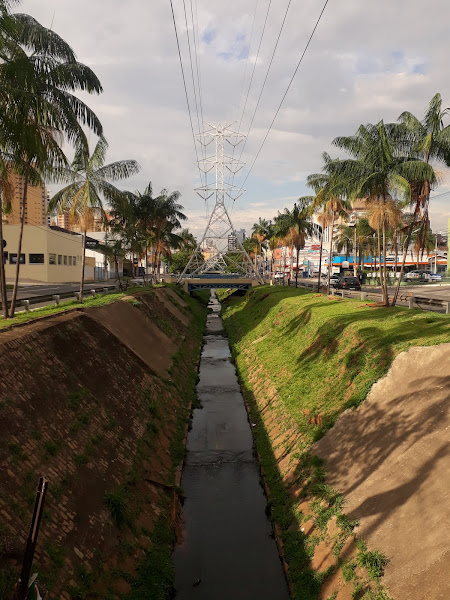 Mascote Comércio de Ração e Artigos para Animais Ltda ME