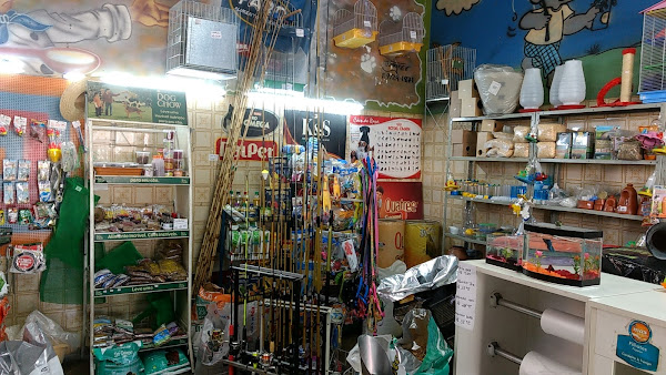 Foto 1 Agro Collie II