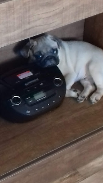 Foto 1 Agro Suaçuna