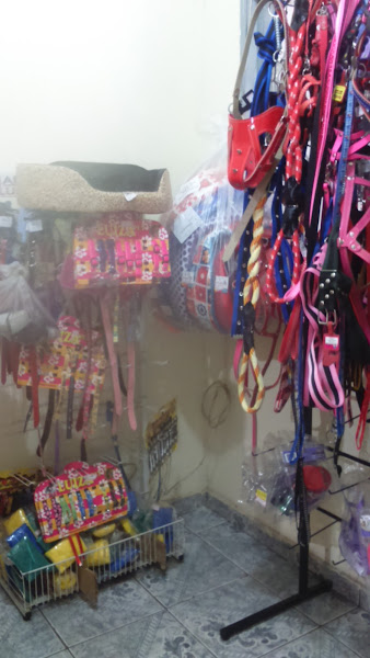 Foto 1 Casa de ração Reggi Dog