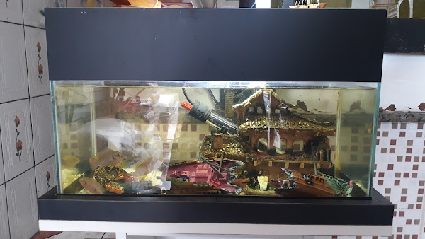 Foto 1 Empório de raçoes