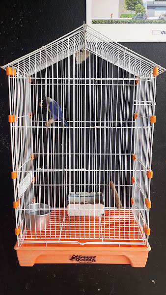 Foto 2 Empório de raçoes