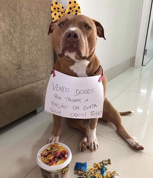 Foto 3 Casa de Ração NW