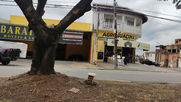 Agrosuaçuna