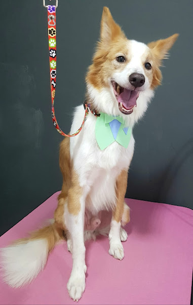 Foto 1 Casa do Criador