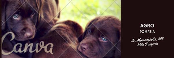 Foto 1 Agro Pompéia