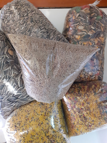 Foto 1 Casa de Ração e Pesca História de Pescador