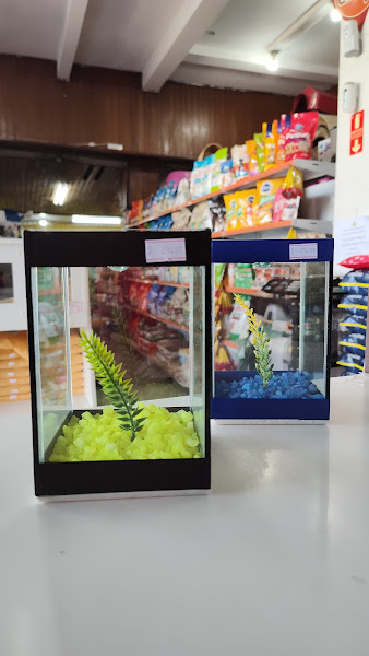 Foto 1 Casa de Rações Agropet Focesi